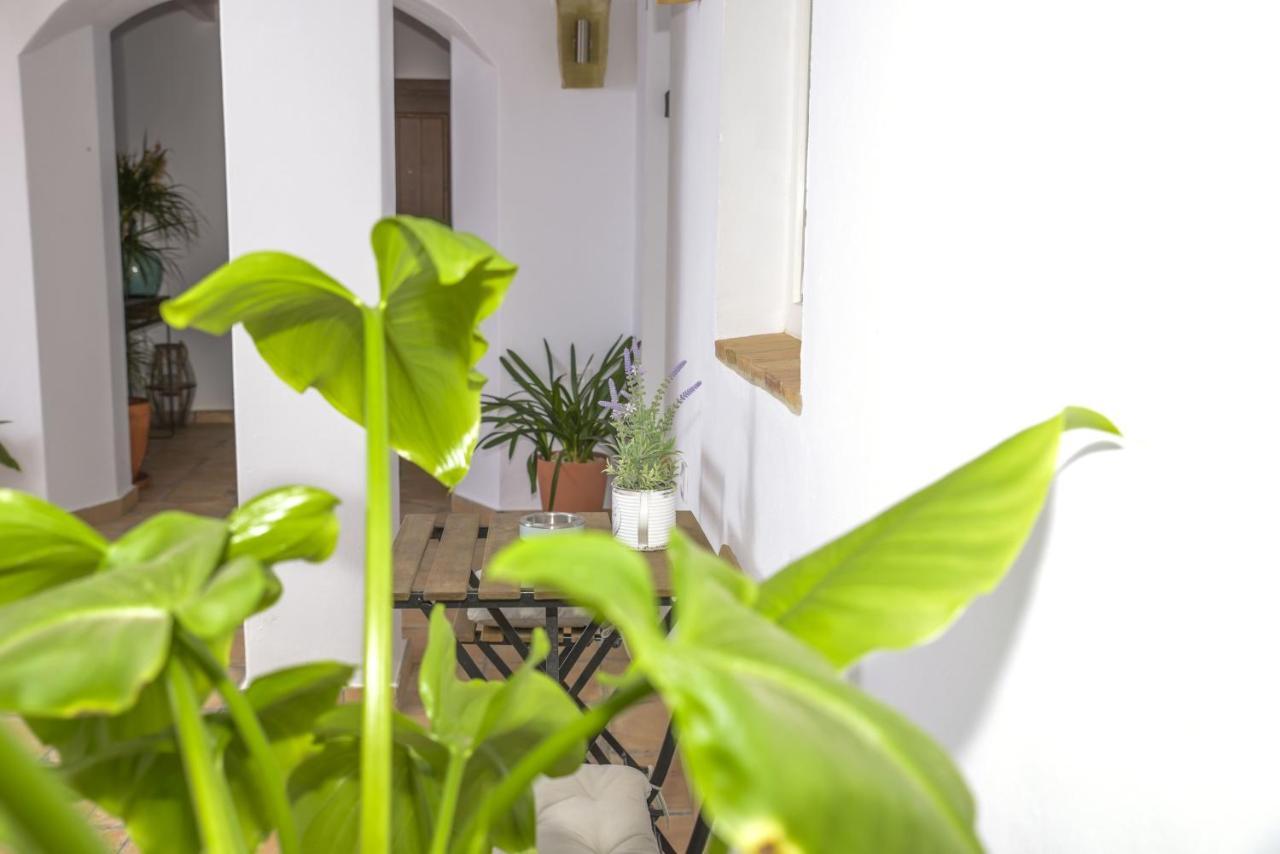 贝赫尔-德拉弗龙特拉Casa Arbonaida公寓 外观 照片